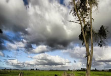 [网球]德约科维奇又创纪录了.