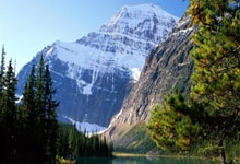 辽宁险胜上海！洛夫顿无奈，张镇麟一瘸一拐，杨鸣点赞两将！.